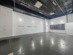 North Spring Bizhub (D27), Factory #627363521